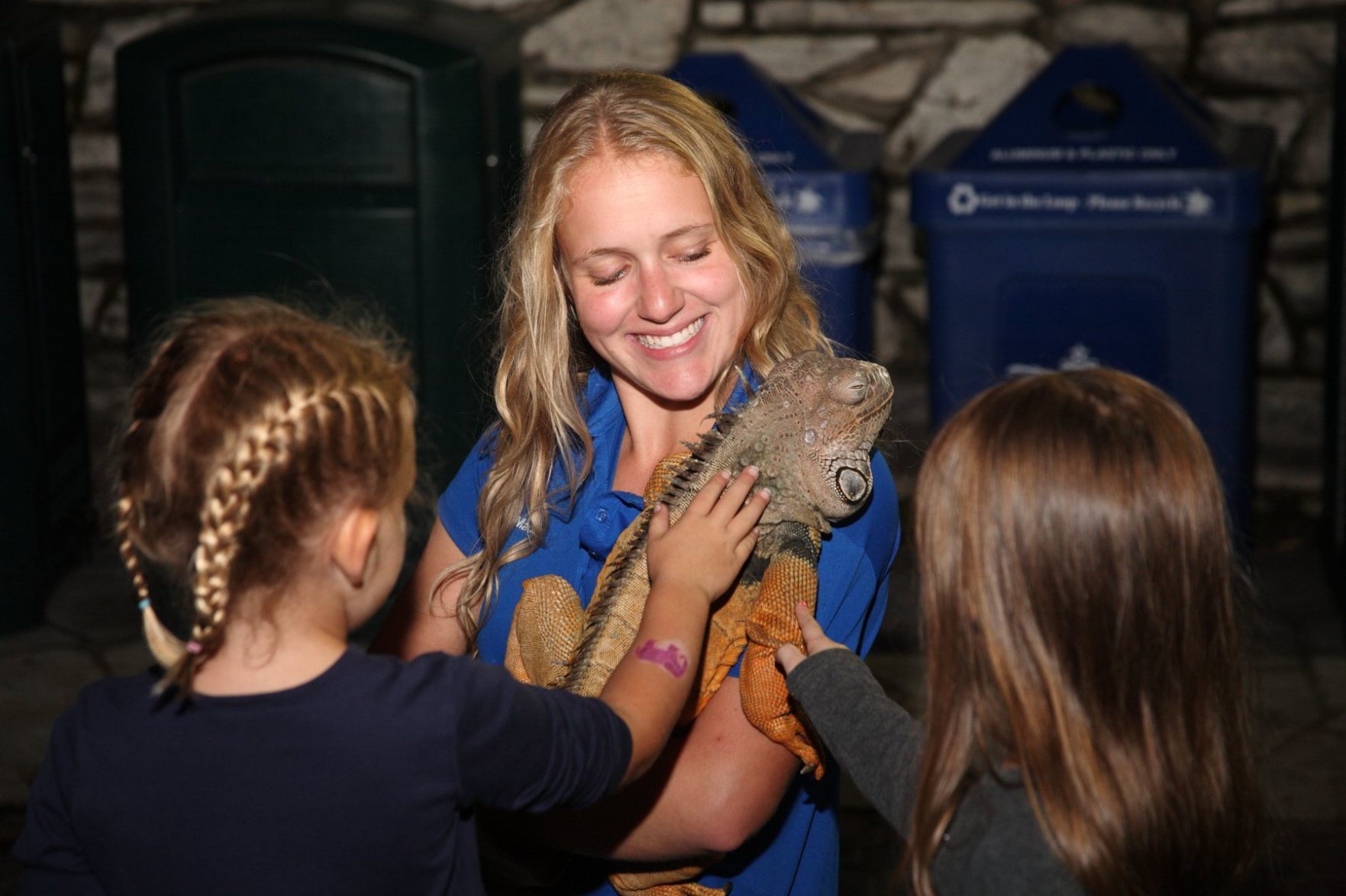 Meeting Razz the Green Iguana